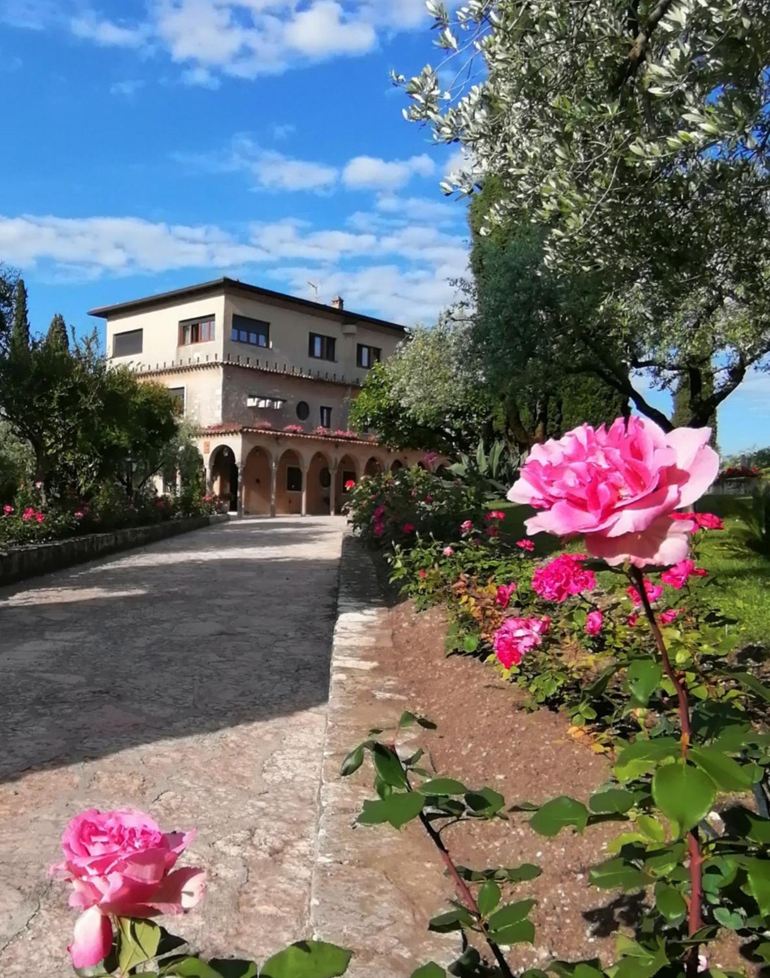 Villa Paradiso Sirmione Exteriör bild