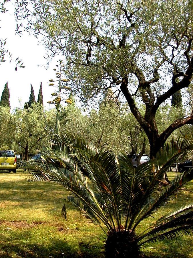 Villa Paradiso Sirmione Exteriör bild